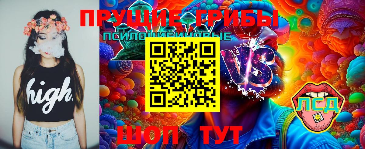 Дедовск  Галлюциногенные грибы мицелий  Вход с VPN 